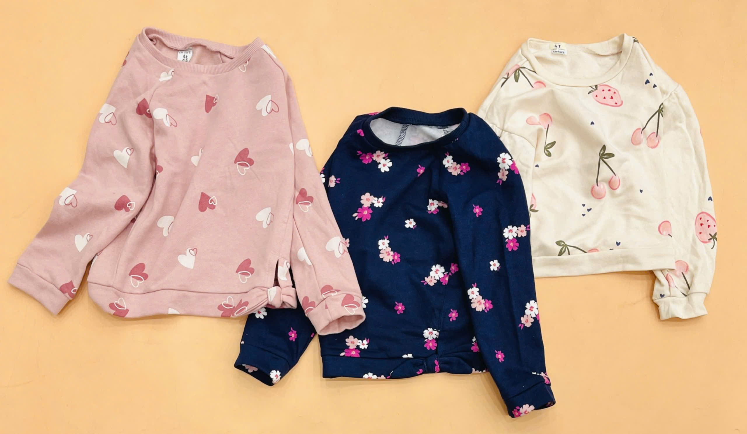 Áo nỉ cổ tròn bé gái Carter in toàn phần, size 12M - 14T. Việt Nam xuất xịn5