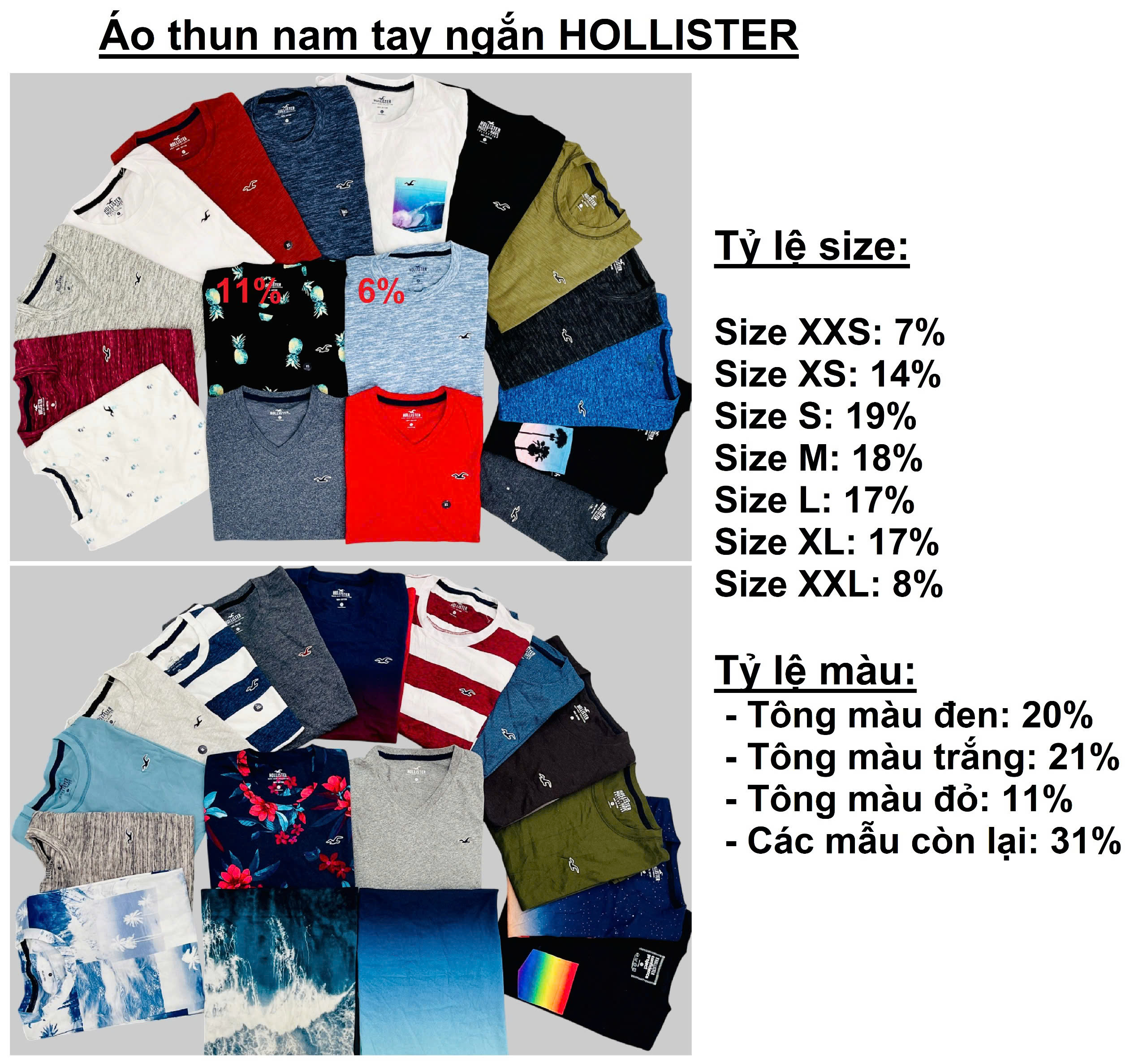 Áo thun nam tay ngắn HOLLISTER, size XXS - XXL. Việt Nam xuất xịn12
