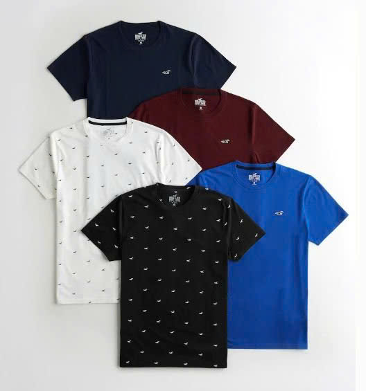 Áo thun nam tay ngắn HOLLISTER, size XXS - XXL. Việt Nam xuất xịn14