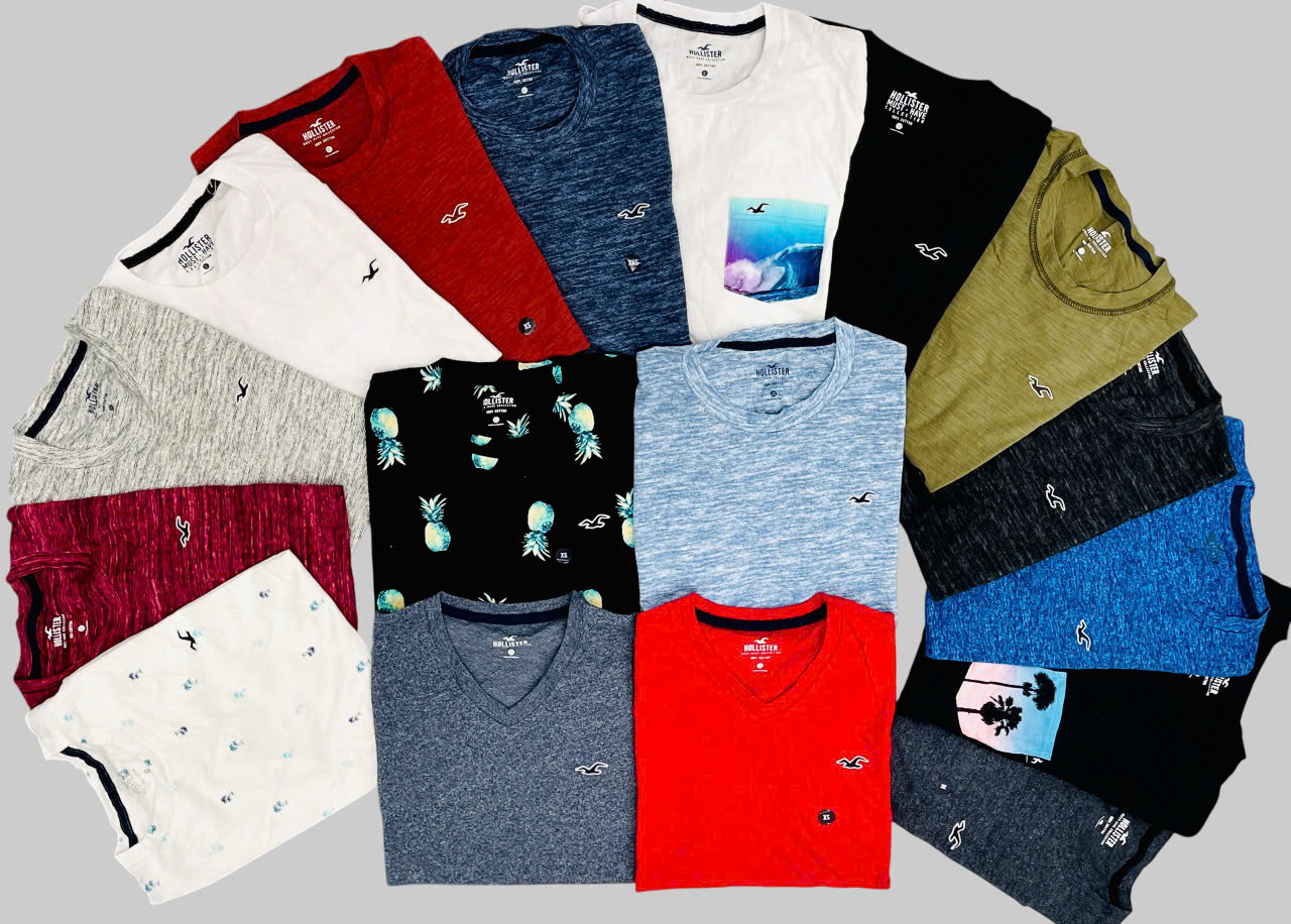 Áo thun nam tay ngắn HOLLISTER, size XXS - XXL. Việt Nam xuất xịn11